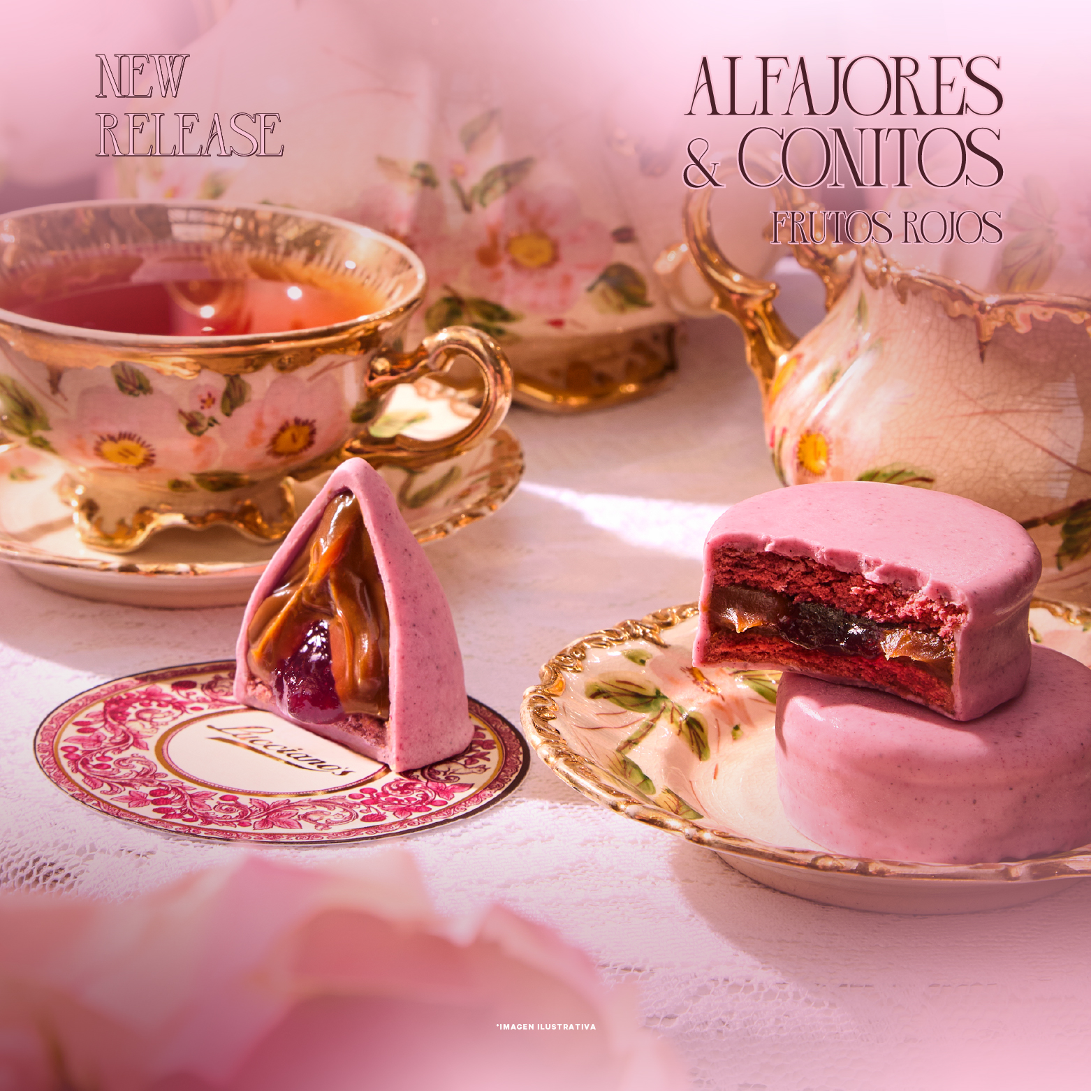 新作 レッドベリー アルファホーレス＆コニートス